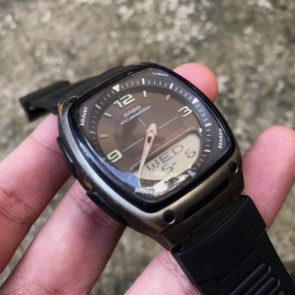 casio 81